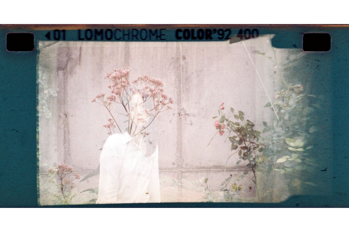 LC Color Sun-Kissed 400/110 Film 3-pack